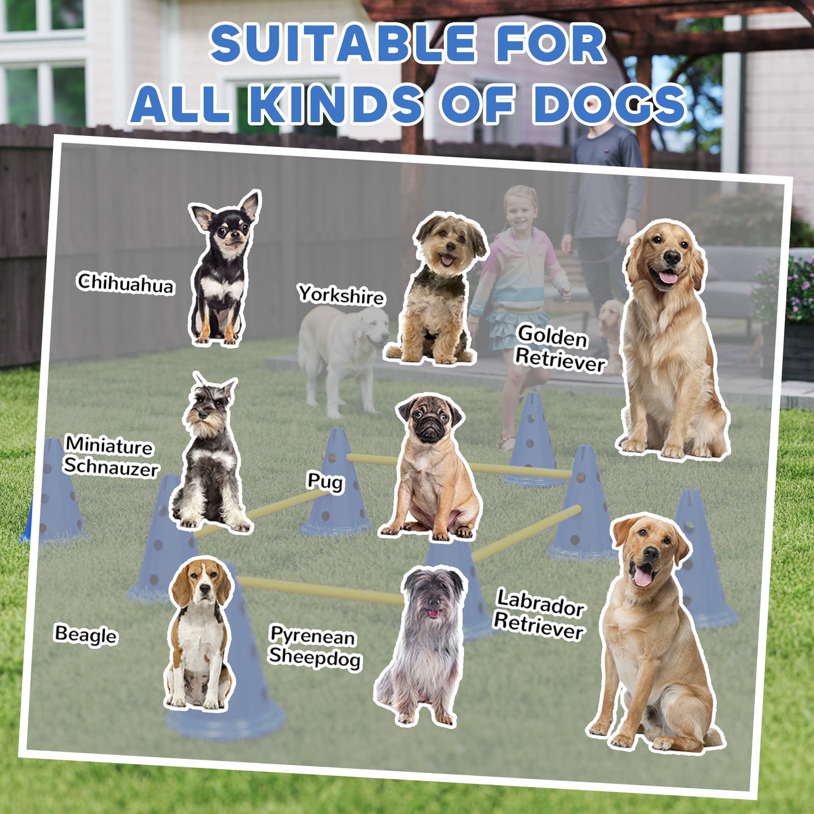 Dog Agility Equipment Set of Eight Cones, Eight Poles w/ Carry Bag, Four-Piece Adjustable Height Jumping Obstacles Blue - Image 8