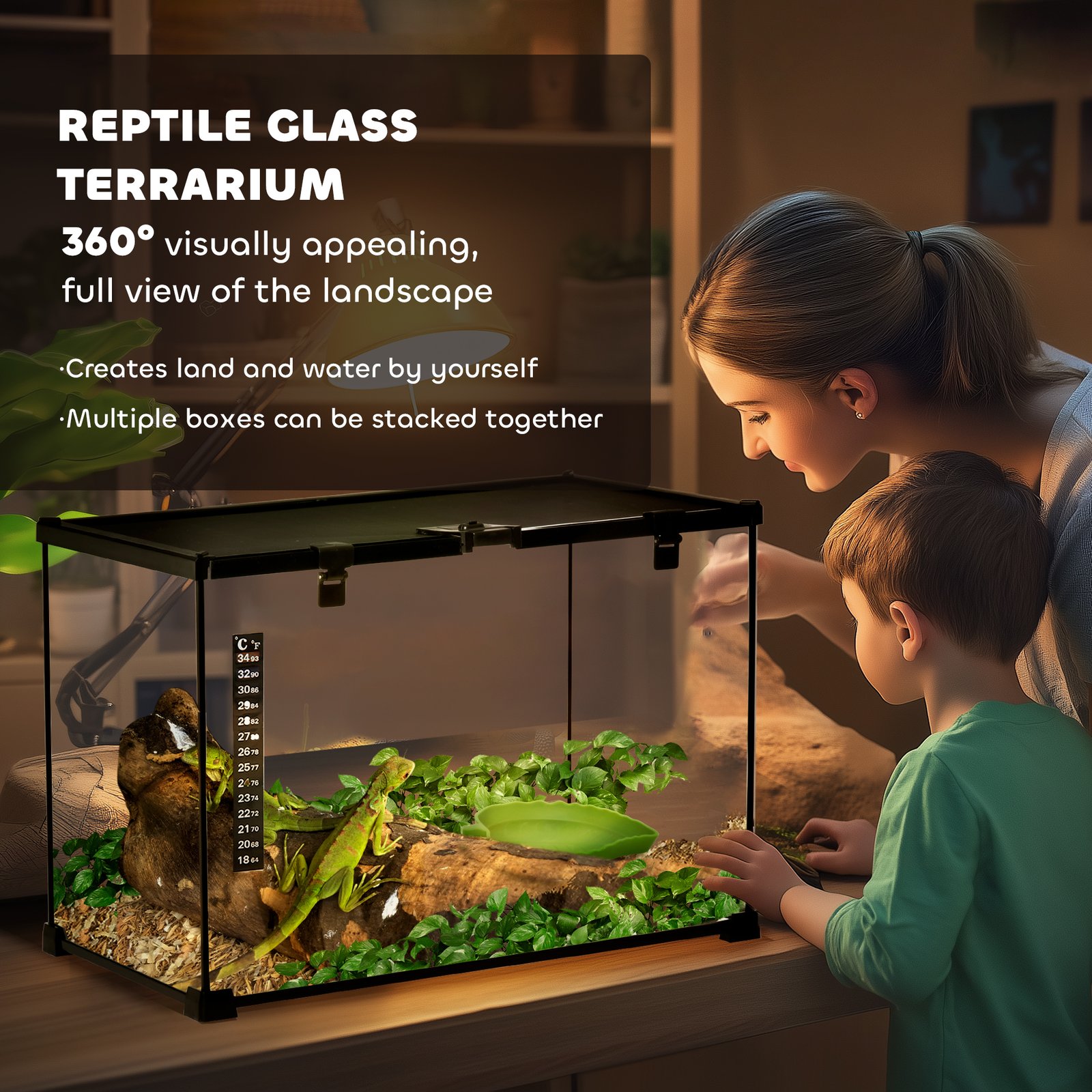 Glass Reptile Terrarium Insect Breeding Tank Vivarium Habitats with Thermometer for Lizards, Horned Frogs, Snakes, Spiders - Large 50 x 30 x 35cm