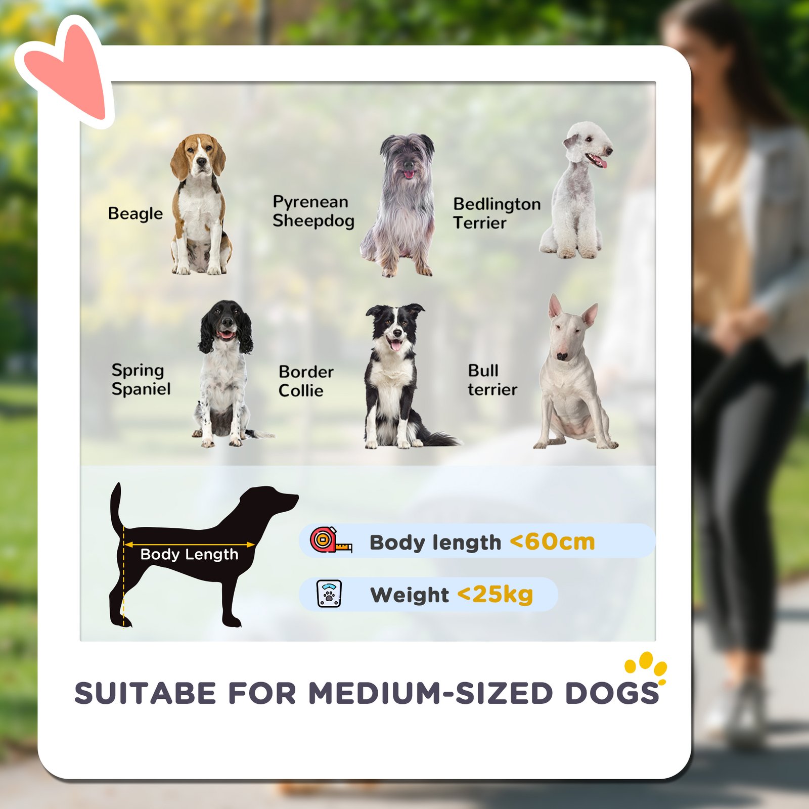 Foldable Pet Stroller for Medium Dogs with 4 Big Wheels, Shock-Absorbing Frame, Safety Leashes, Brakes, Dark Grey