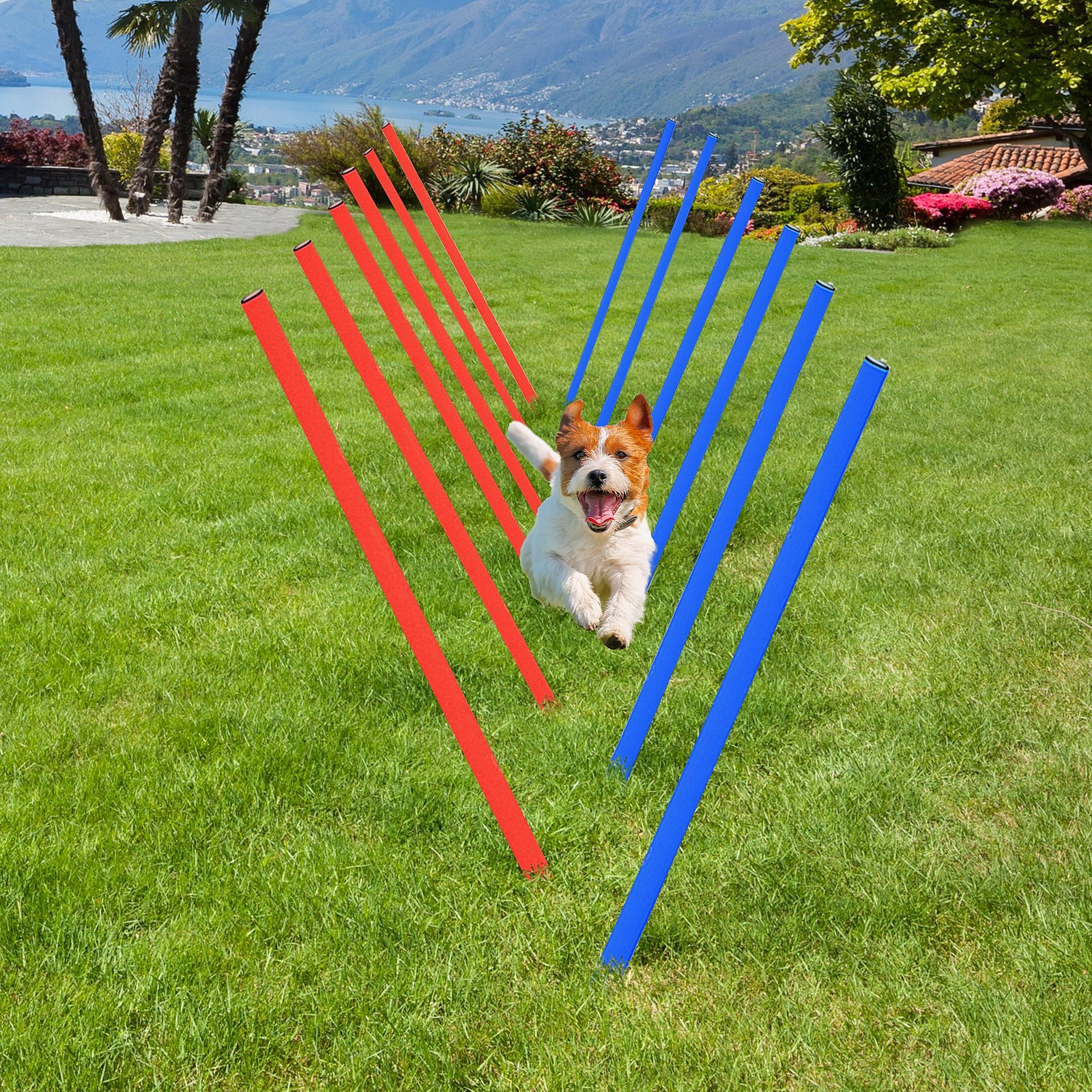 Dog Agility Training Equipment Dog Play Run Obedience Training Set Adjustable (Poles)