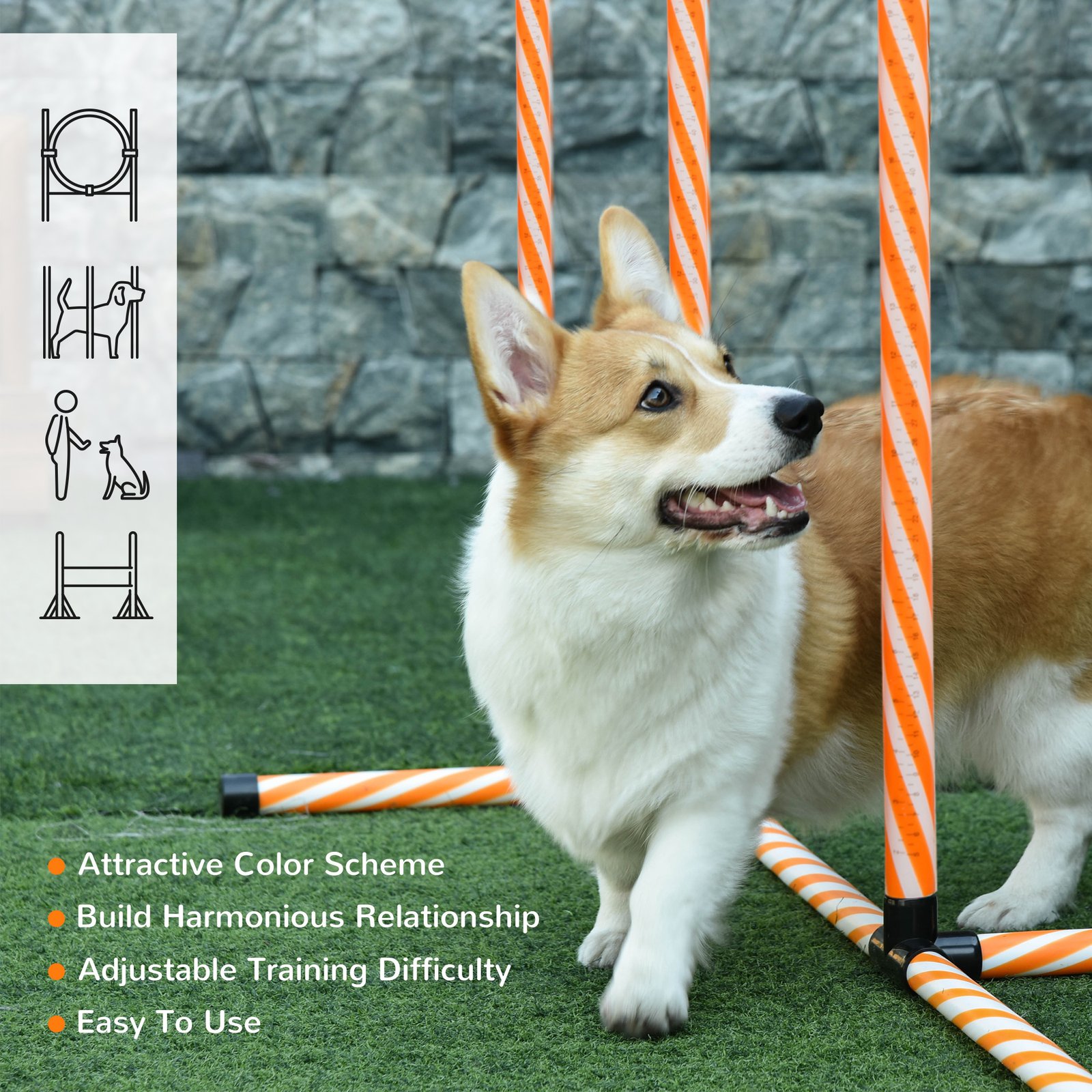 Dog Agility Equipment Pet Training Set with Adjustable Height Jump Ring Hurdle Whistle Weave Poles Square Pause Box Carry Bag - Image 7