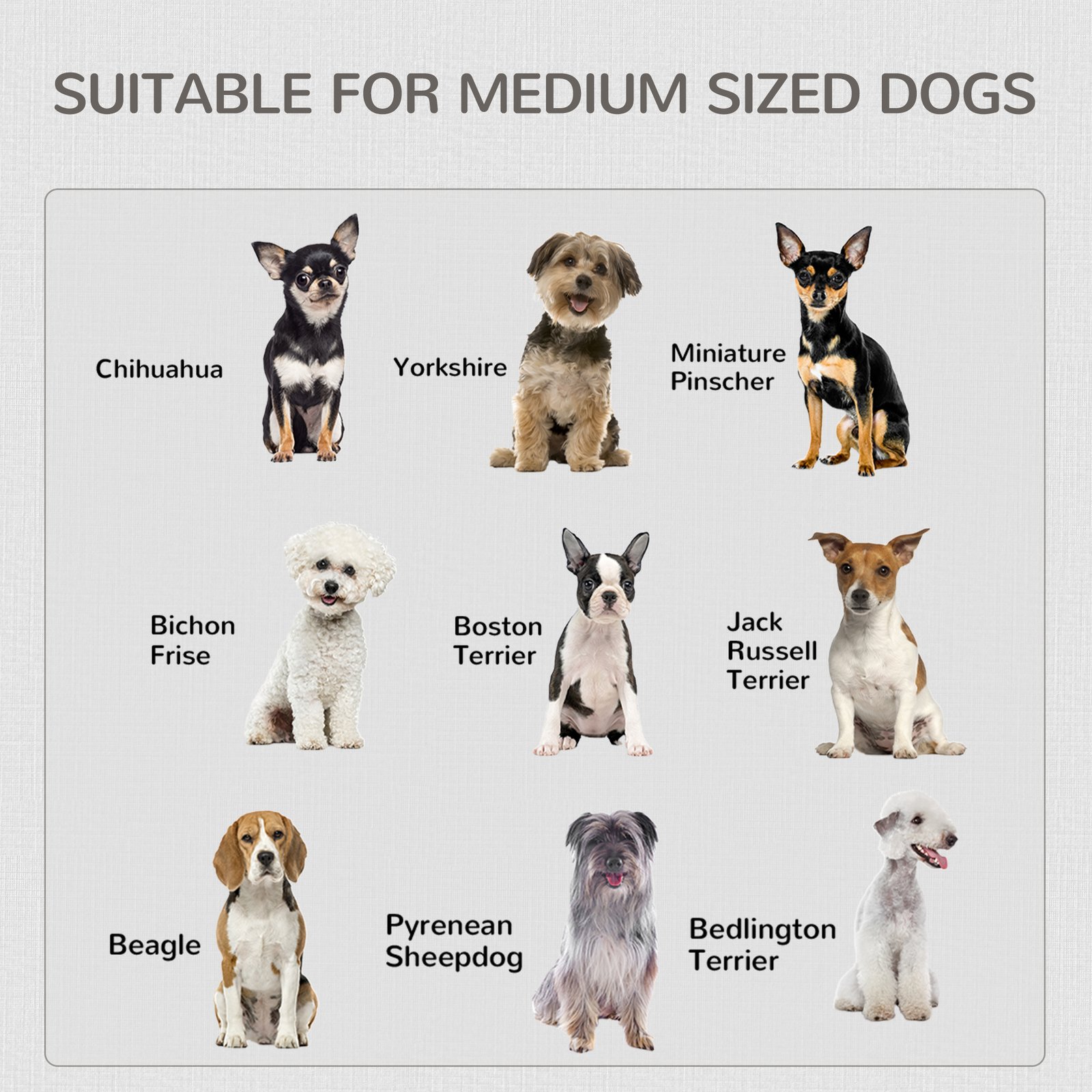 2-in-1 Dog Cage and Side Table, with Two Lockable Doors, for Medium Dogs - White