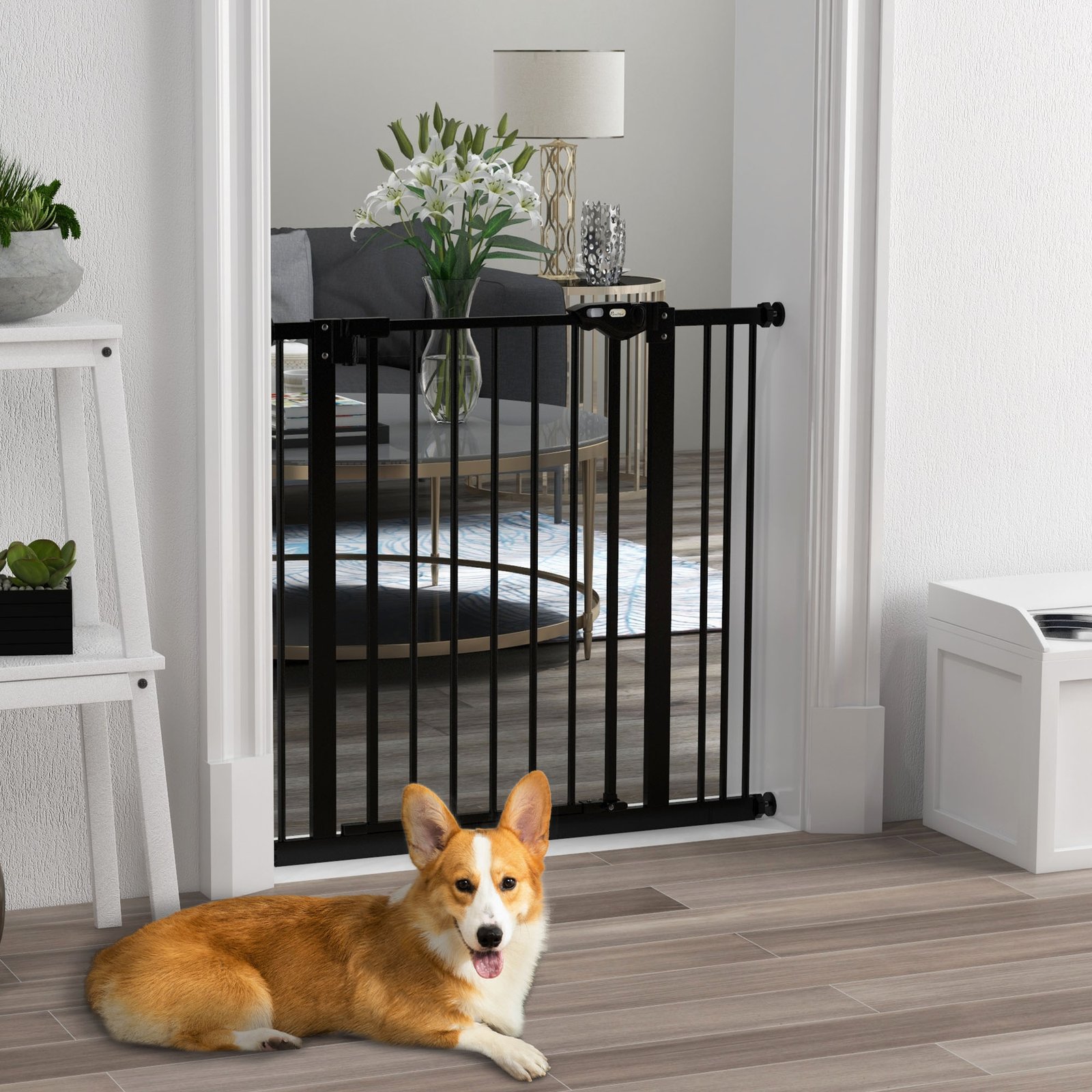 Adjustable Safety Gate w/ One Extensions, Four Adjustable Screws, Black