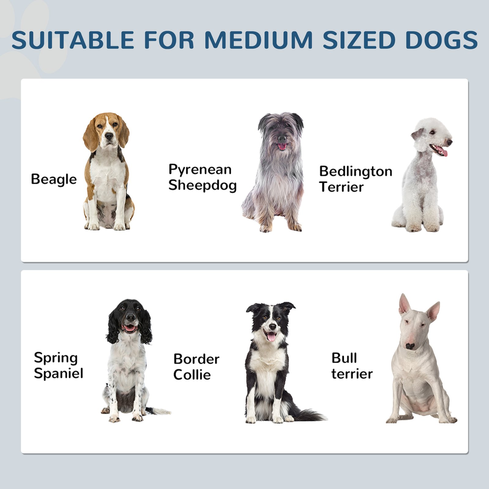 Pet Feeding Station with Raised Dog Bowls, Adjustable Panel, Hooks, White - Image 4