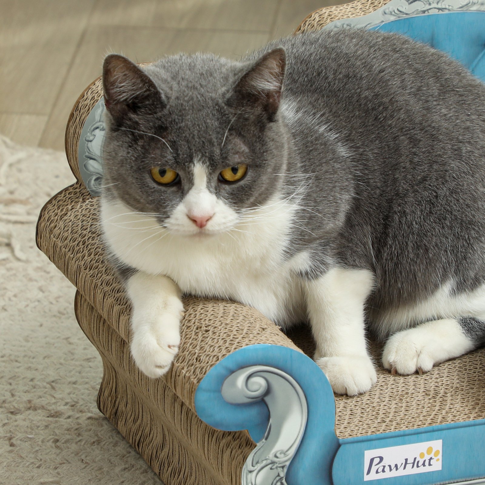 2-in-1 Cat Scratcher with Catnip for Indoor Cats, Light Blue