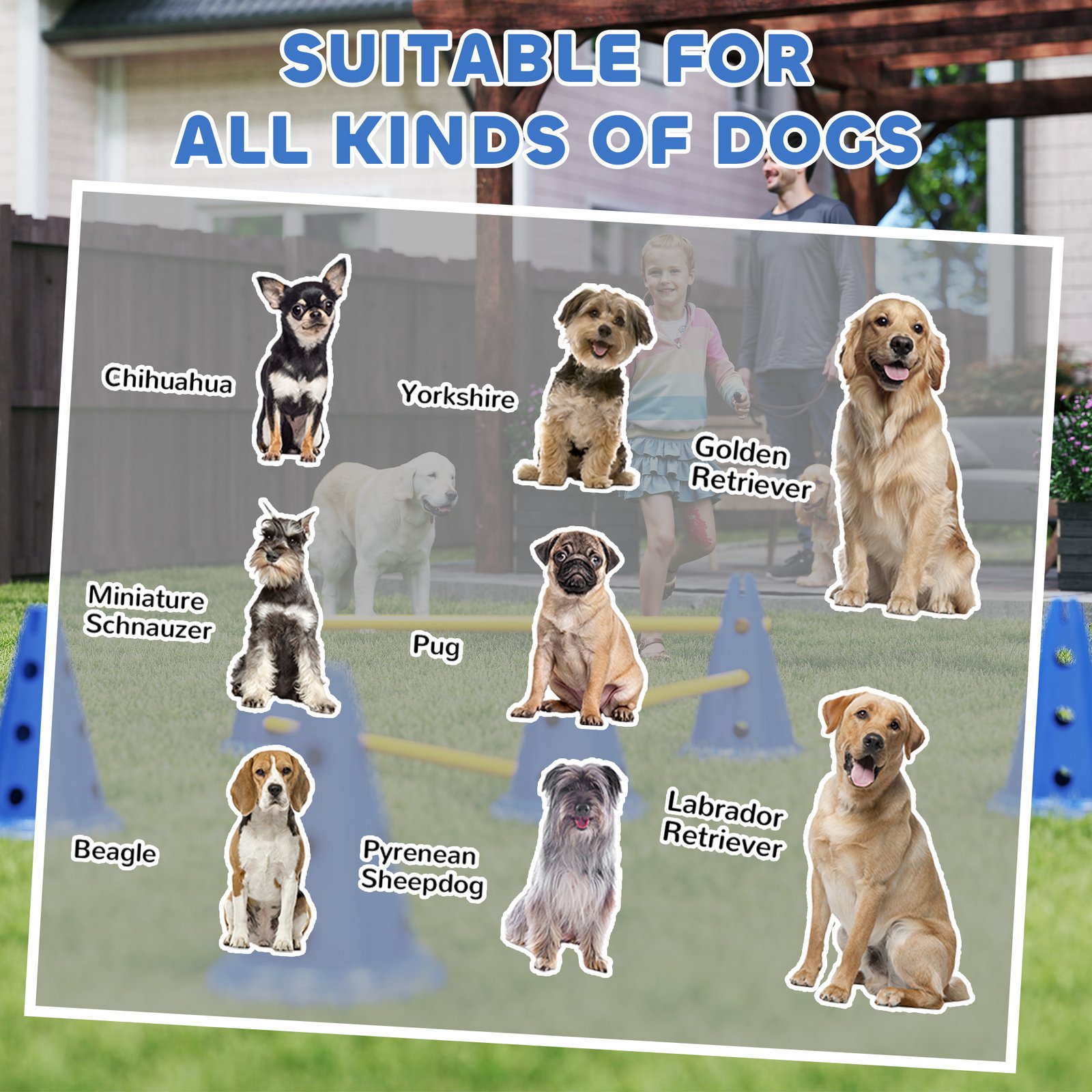 Dog Agility Equipment Set of Six Cones, Six Poles with Carry Bag, Three-Piece Adjustable Height Jumping Obstacles, Blue - Image 8