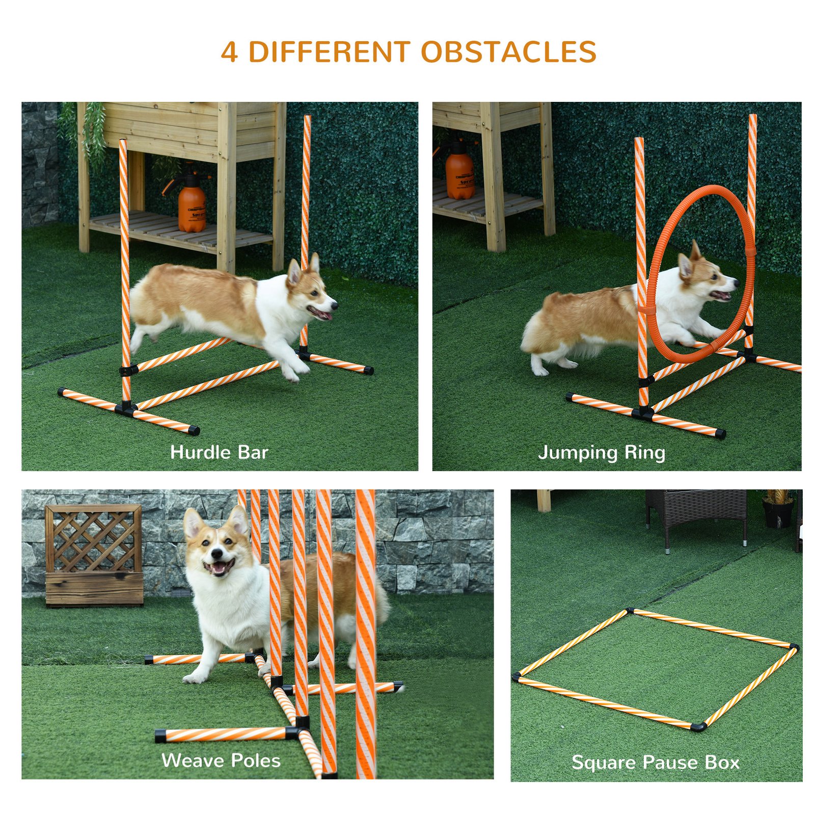 Dog Agility Equipment Pet Training Set with Adjustable Height Jump Ring Hurdle Whistle Weave Poles Square Pause Box Carry Bag - Image 4