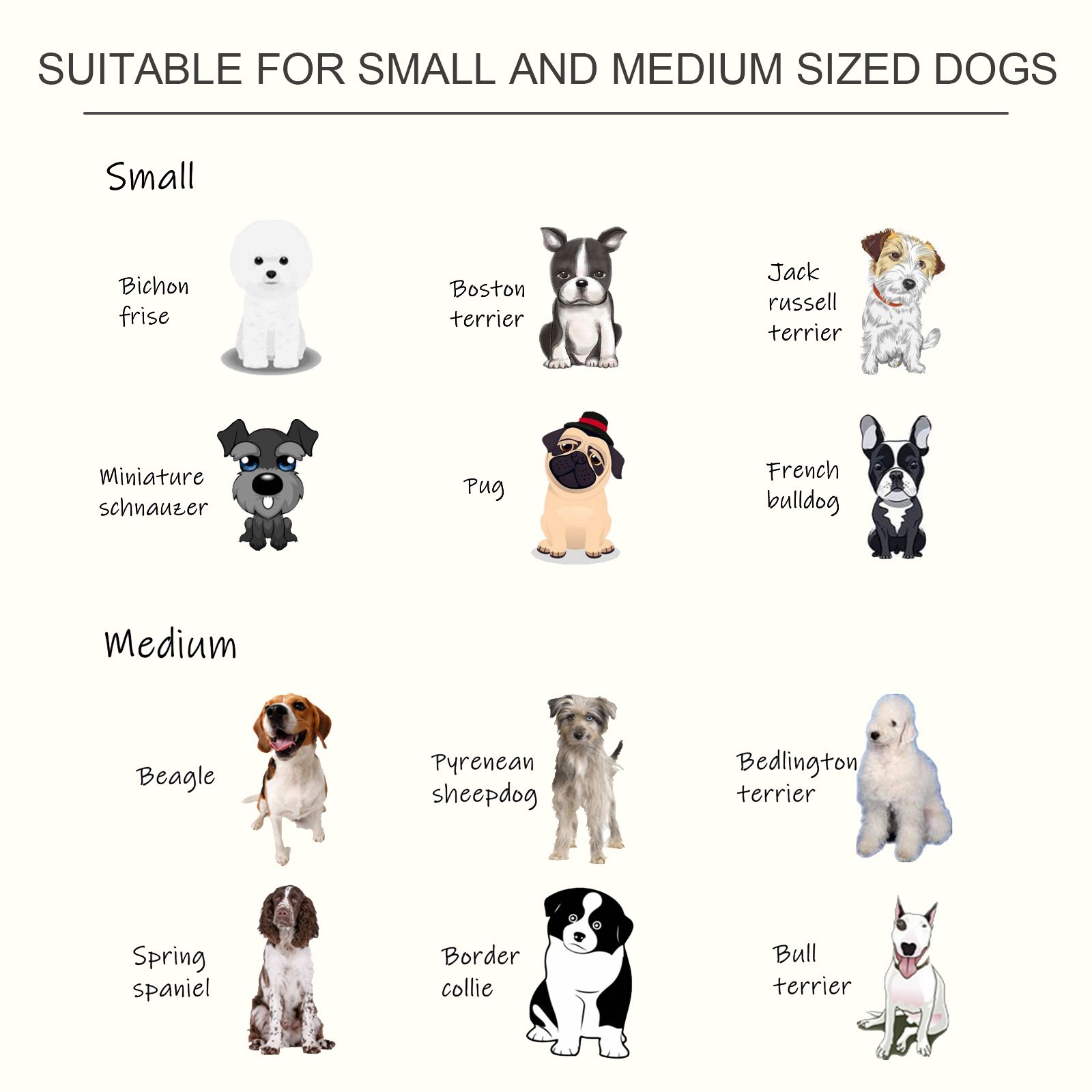 Raised Dog Feeding Bowls with Stand, Stainless Steel for Medium Dog, 58L x 31W x 25H cm - White