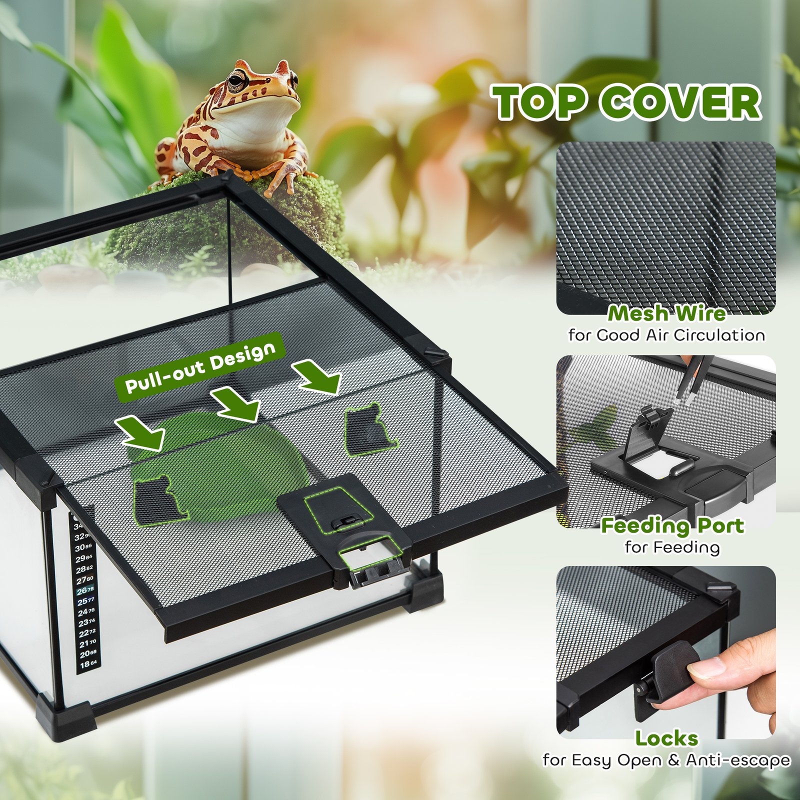 Glass Reptile Terrarium Insect Breeding Tank Vivarium Habitats with Thermometer for Lizards, Horned Frogs, Snakes, Spiders - Small 30 x 30 x 20cm - Image 5