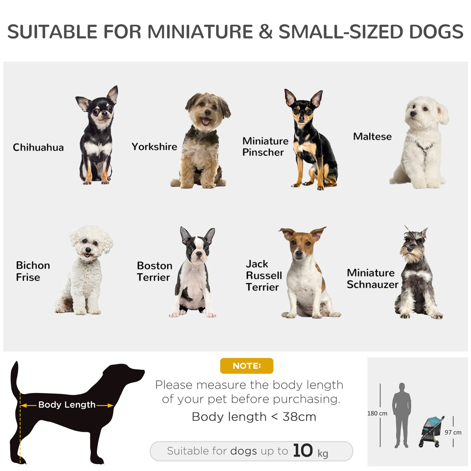 Pet Stroller for Small and Miniature Dogs, with Rain Cover - Dark Green - Image 4
