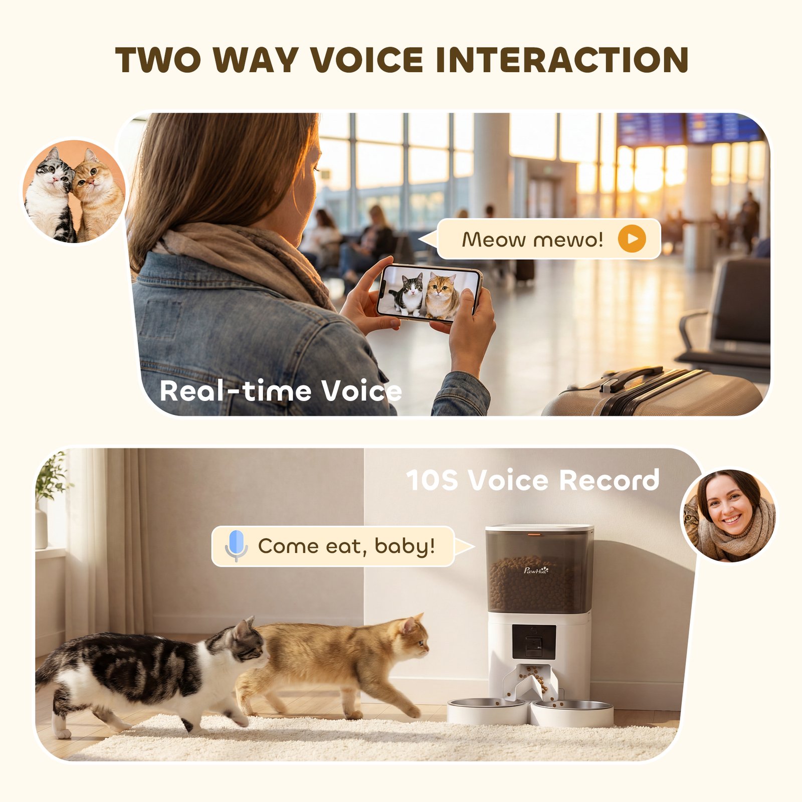 Automatic Cat Feeder for 2 Cats with HD Camera，2.4G & 5G WiFi Pet Food Dispenser 6L APP Control