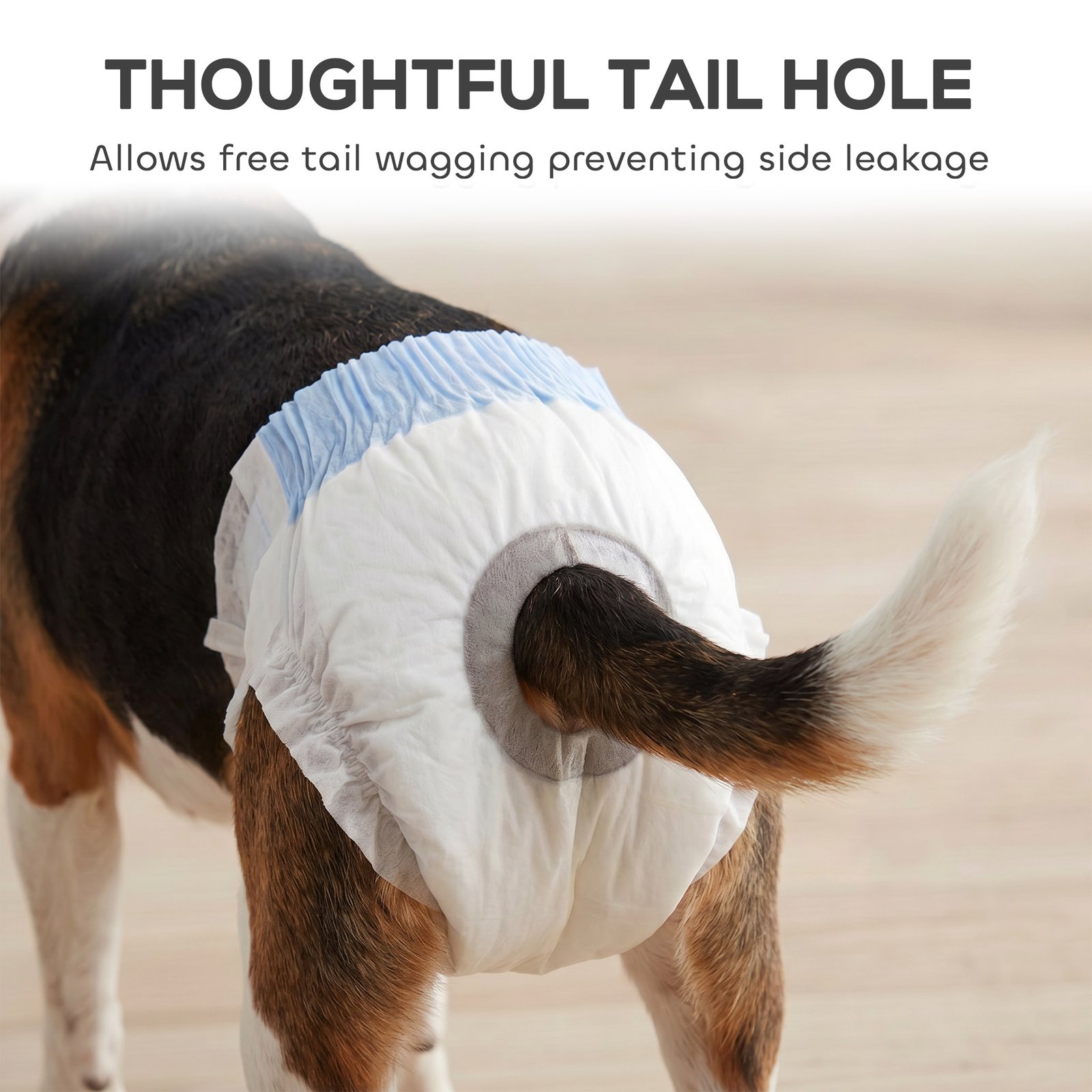 Disposable Dog Diapers Female for M Dogs Incontinence or Excitable Urination and Training 48 Count