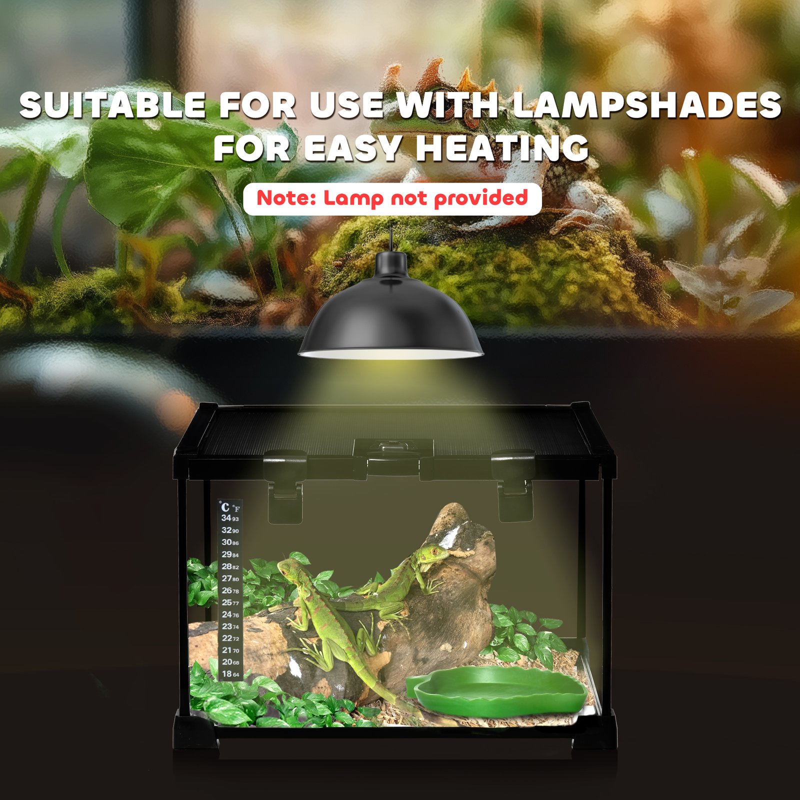 Glass Reptile Terrarium Insect Breeding Tank Vivarium Habitats with Thermometer for Lizards, Horned Frogs, Snakes, Spiders - Small 30 x 30 x 20cm - Image 8