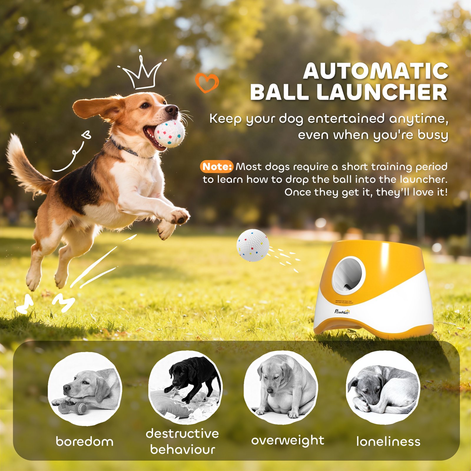 Automatic Dog Ball Launcher with 5 ETPU Balls 5.8 cm, 3 Distance Settings 6/10/14 m, Orange