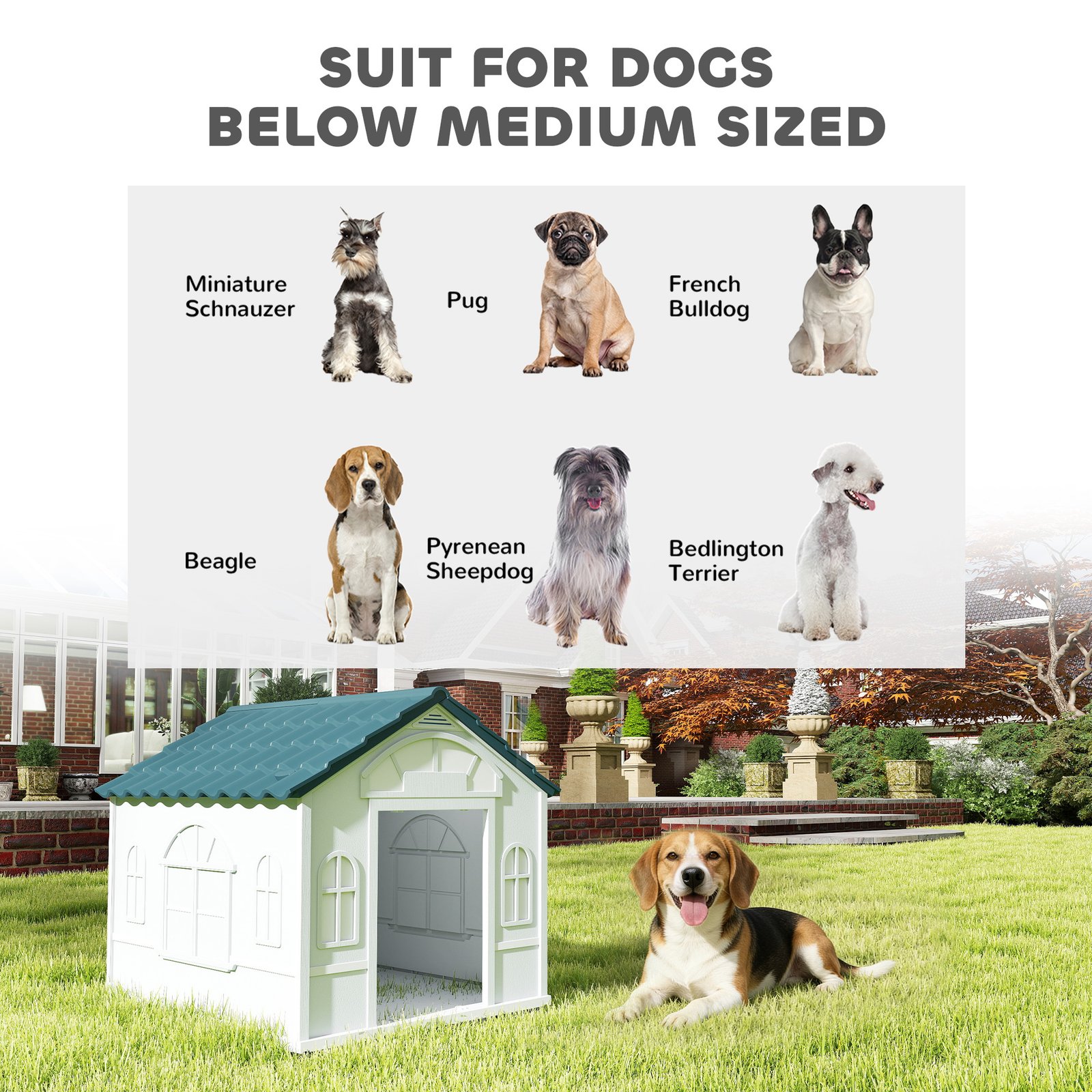 Plastic Weather-Resistant Dog House, for Indoors and Outdoors, Medium Dogs - White and Blue