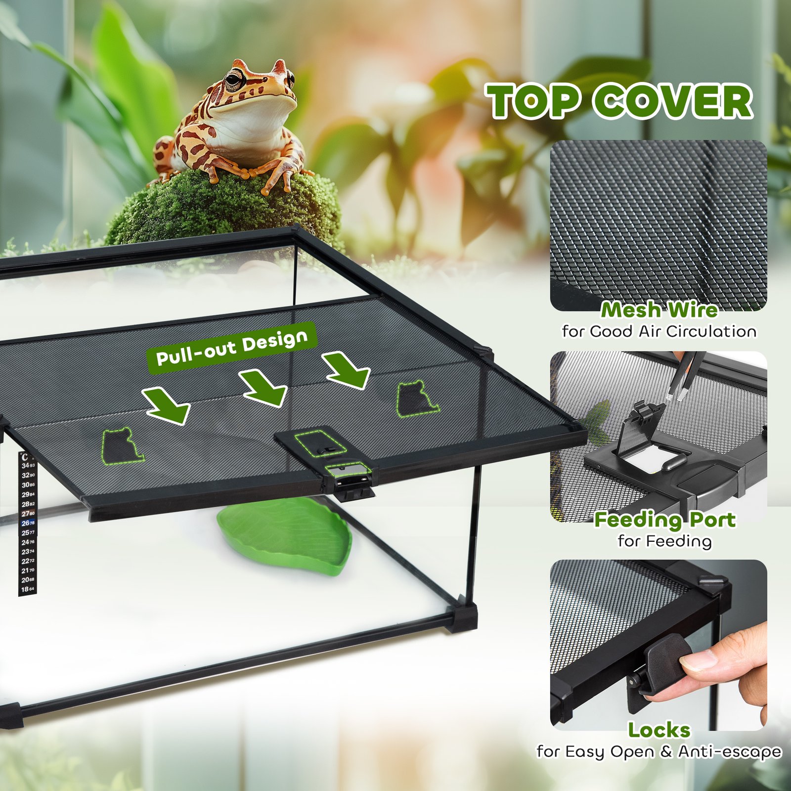 Glass Reptile Terrarium Insect Breeding Tank Vivarium Habitats with Thermometer for Lizards, Horned Frogs, Snakes, Spiders - Medium 50 x 30 x 25cm - Image 5