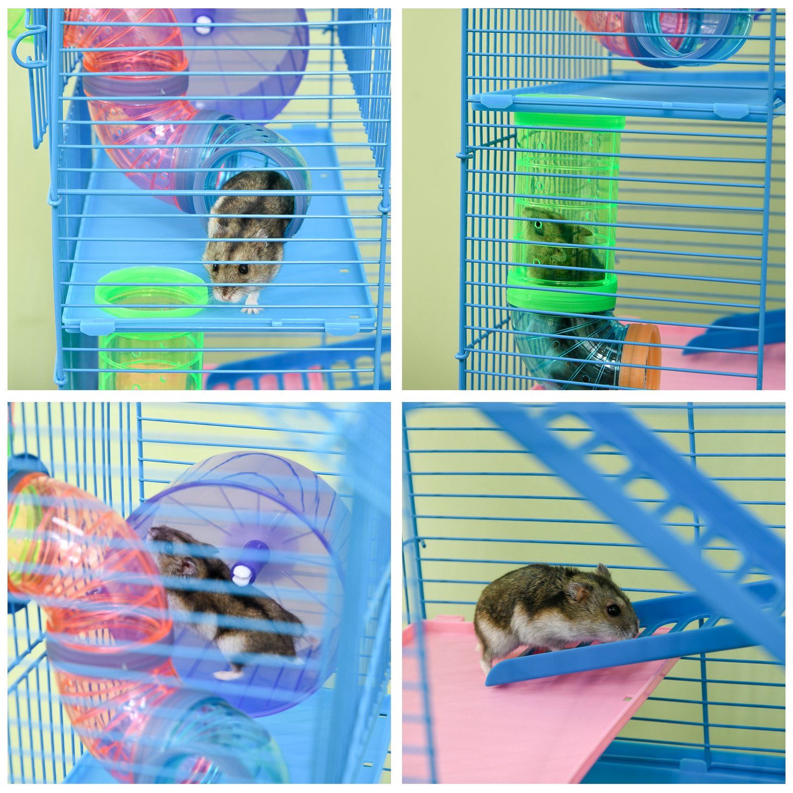 Hamster Cage, 5 Tier Carrier Habitat with Exercise Wheels Tunnel Tube Water Bottle Dishes House Ladder, Gerbil Cage for Dwarf Mice, Blue