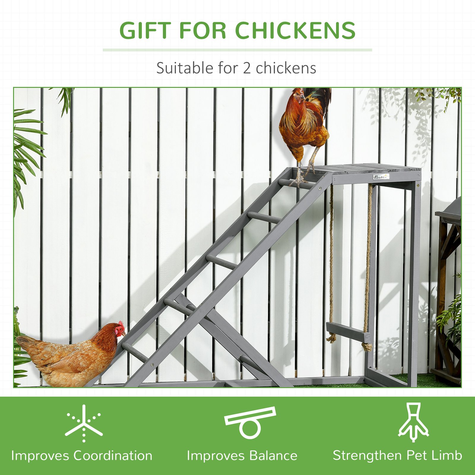 Walk-in Galvanised Steel Chicken Run with Chicken Activity Shelf and Cover, 3 x 6 x 2m - Image 6