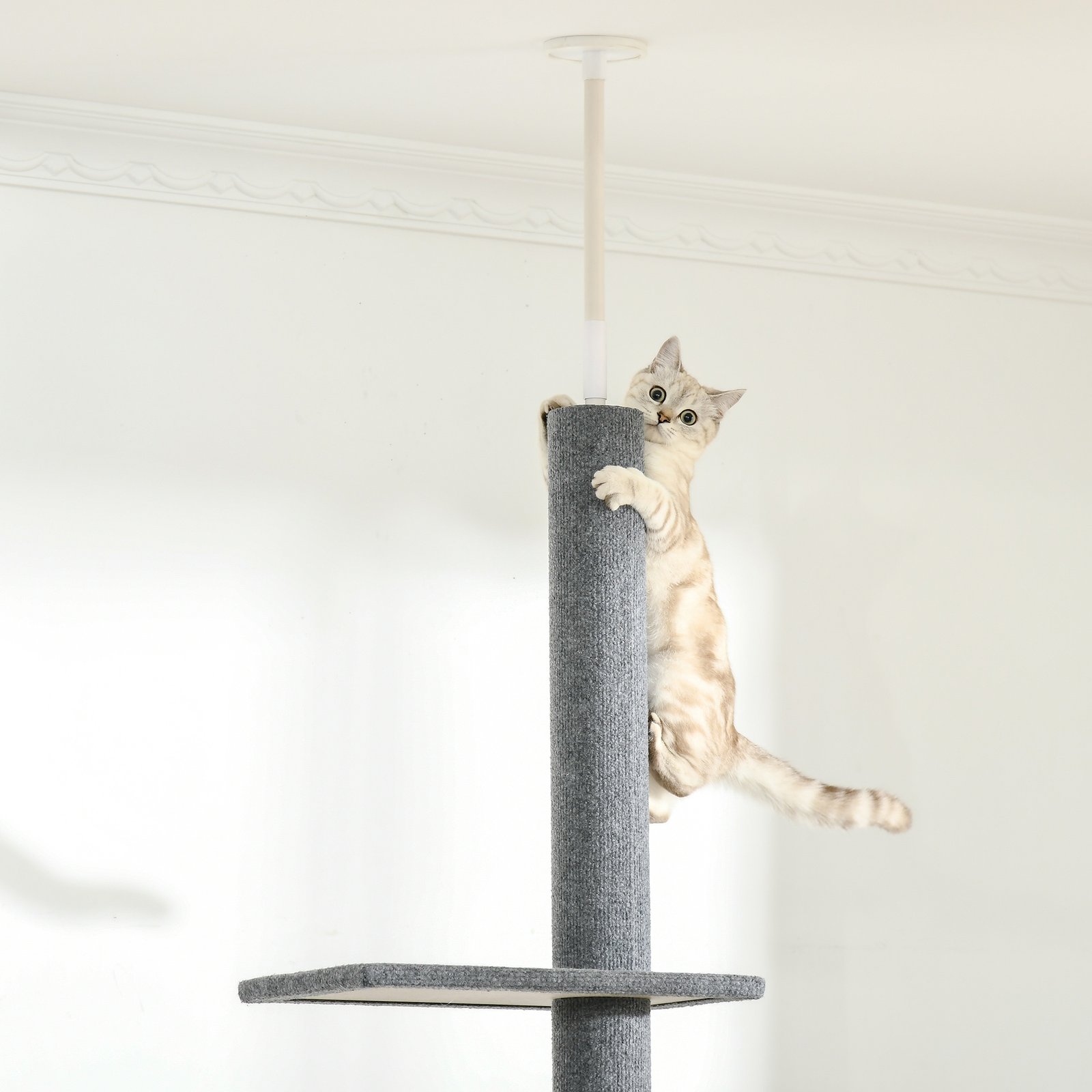 260cm Floor To Ceiling Cat Tree for Indoor Cats w/ Three Platforms Activity Centre - Grey - Image 8
