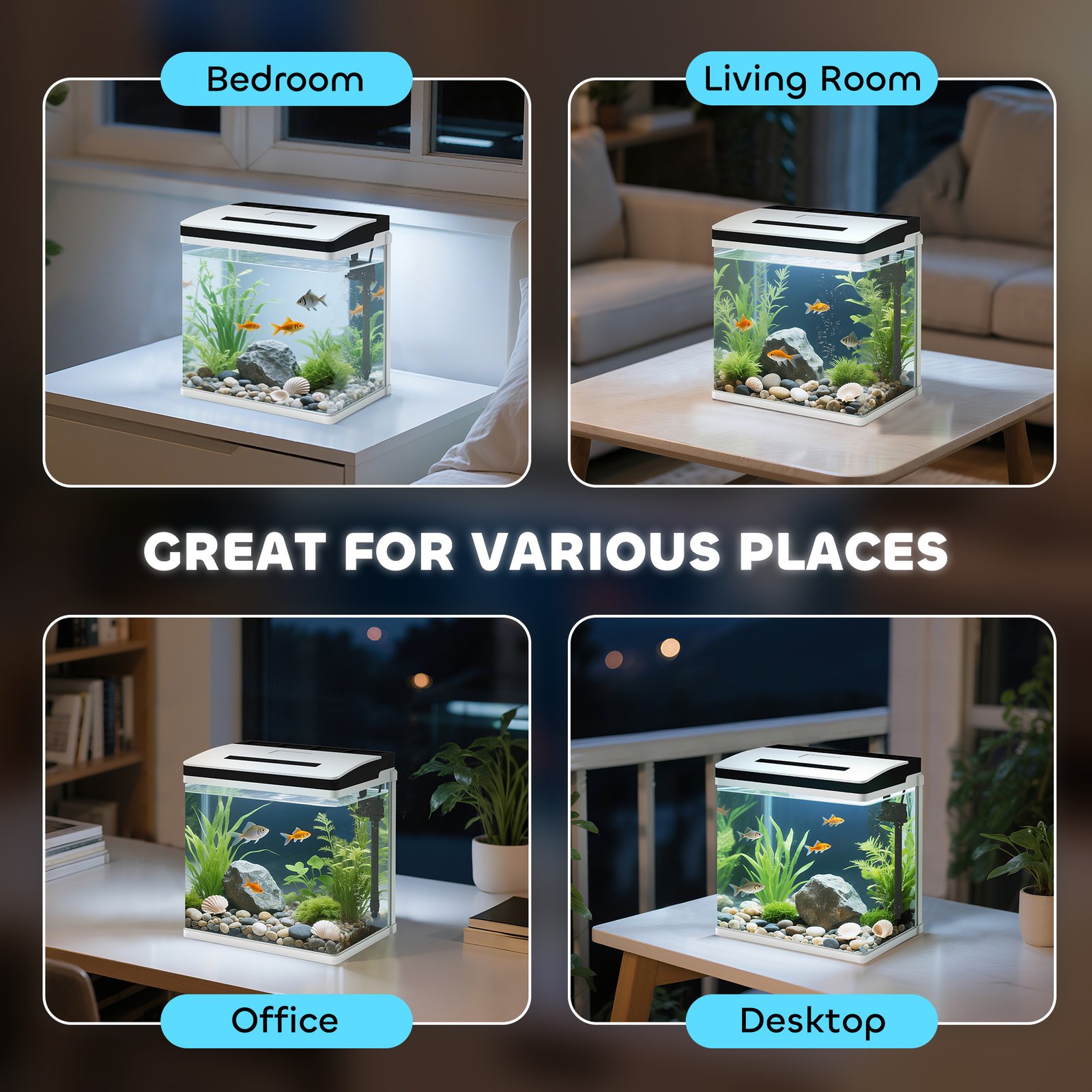 13L Glass Aquarium Fish Tank with Filter, LED Lighting, for Betta, Guppy, Mini Parrot Fish, Shrimp, 29 x 20 x 30.5cm