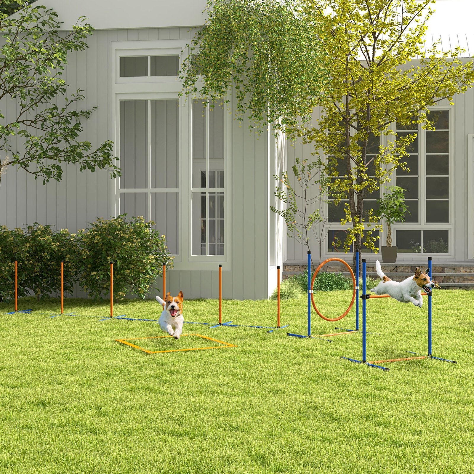 Dog Agility Training Equipment with Weave Poles, Jump Ring, Pause Box, Adjustable Hurdle, Carry Bag, Orange