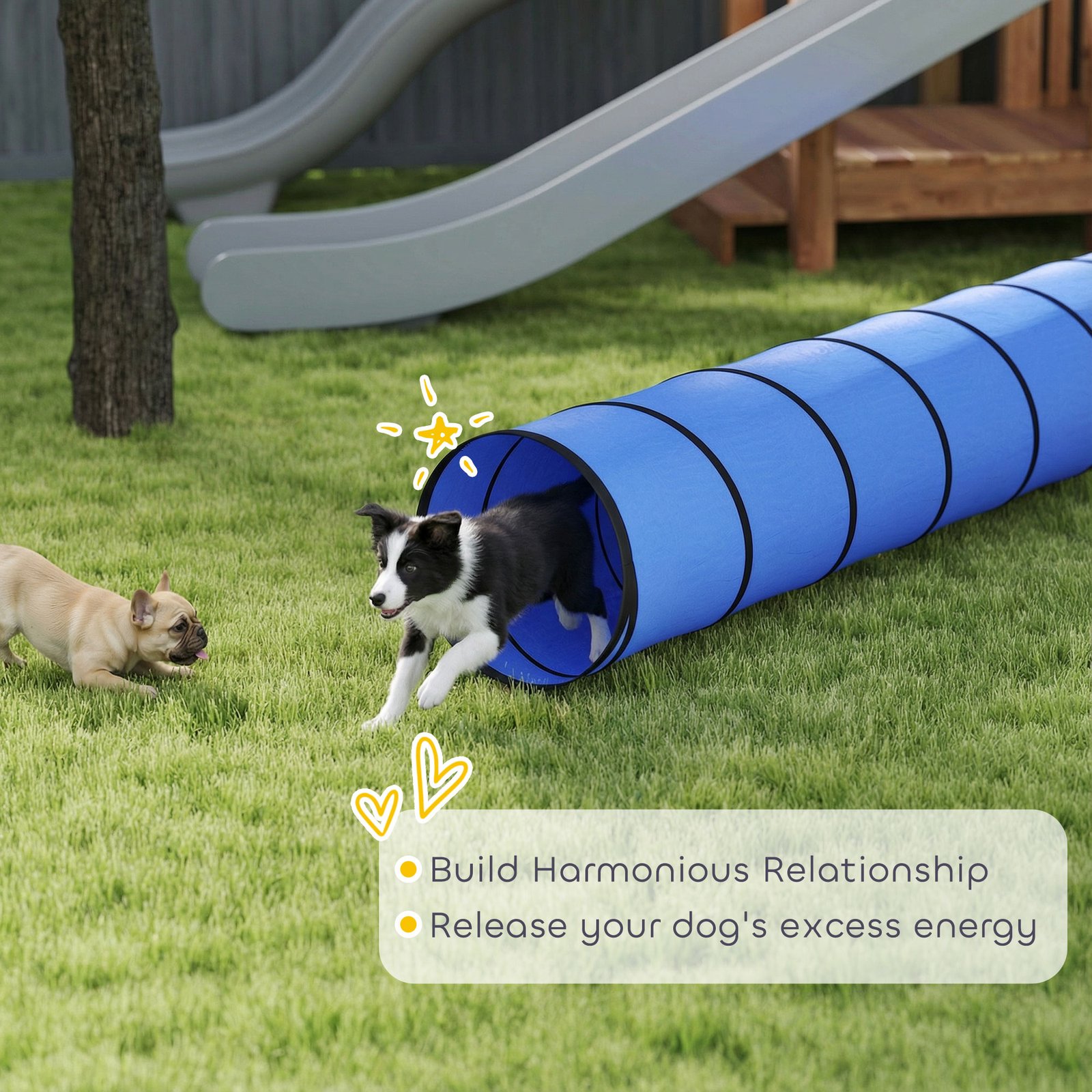 Dog Tunnel, 500 x 60 cm, Foldable Play Tunnel with 6 Pegs and Bag, Tear-Resistant Outdoor Dog Agility Equipment, Blue