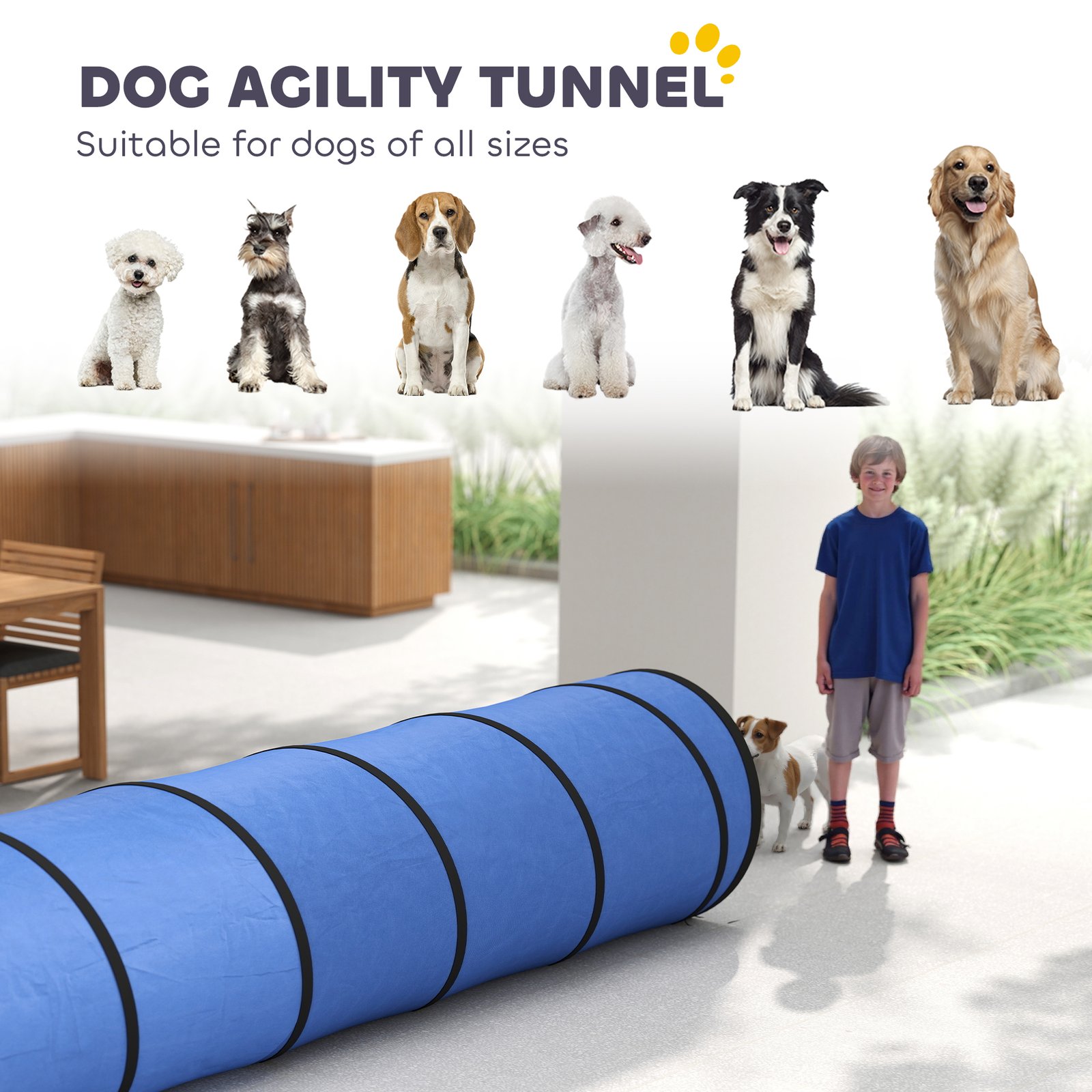 Dog Tunnel, 500 x 60 cm, Foldable Play Tunnel with 6 Pegs and Bag, Tear-Resistant Outdoor Dog Agility Equipment, Blue