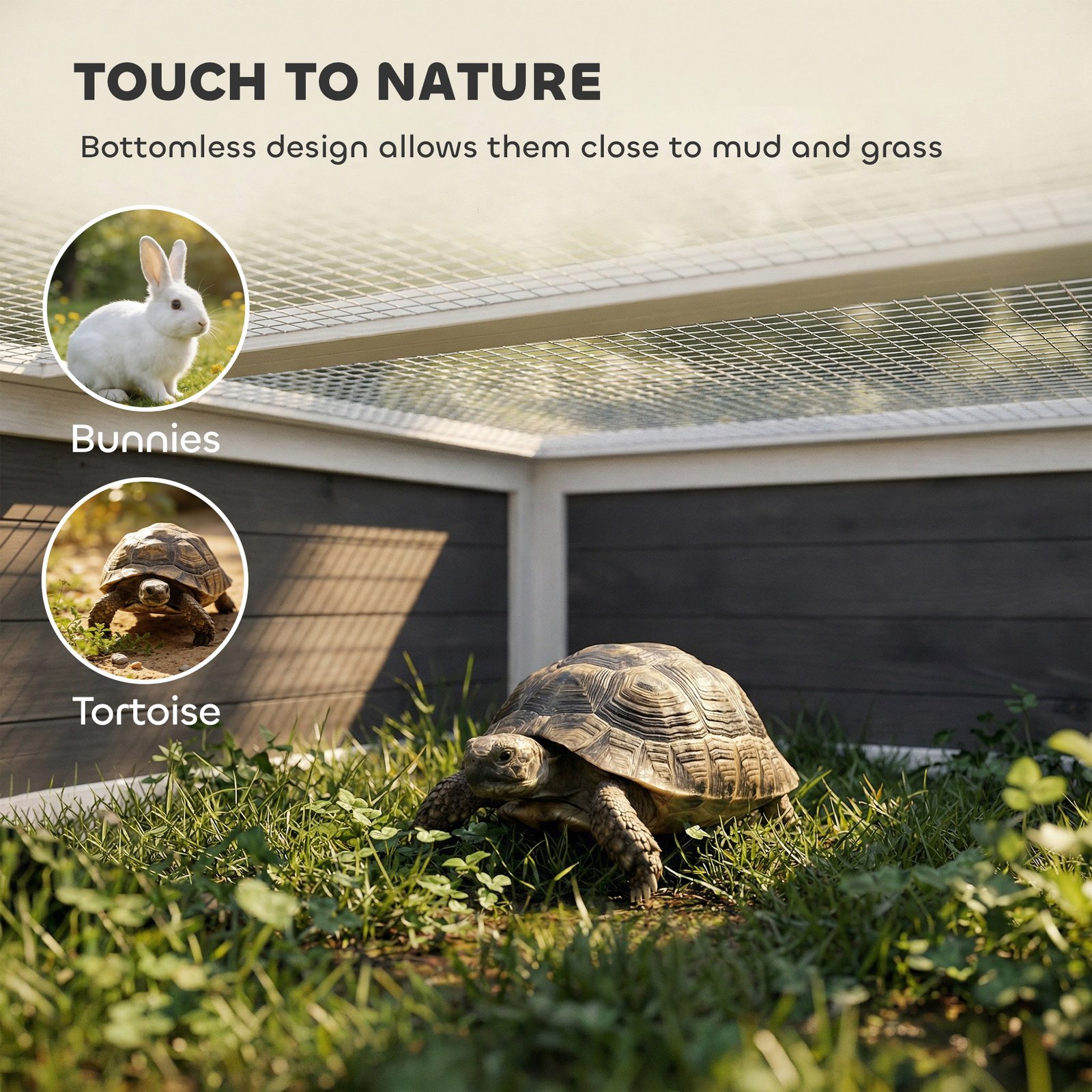 Wooden Tortoise House, Tortoise Enclosure with Clear Observation Window, Top Opening, Multiple Doors, Galvanised Mesh