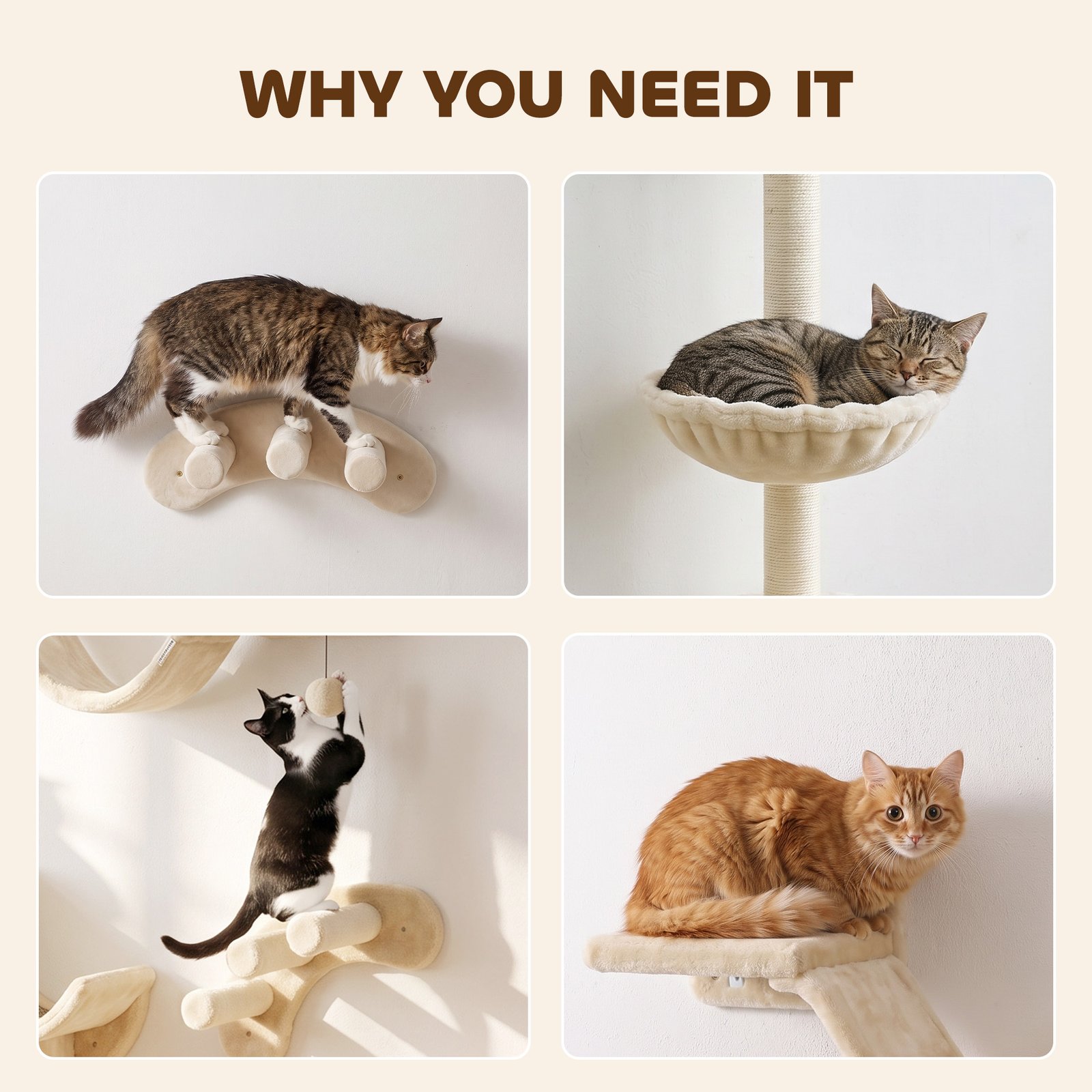 Four-Piece Cat Wall Furniture, with Hammock, Ladder, Platforms, Steps, for Indoor Use - Beige